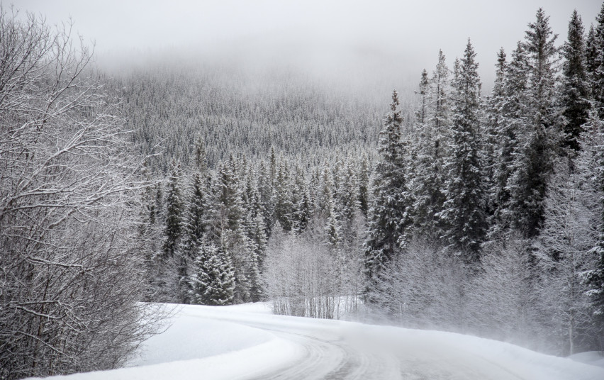Road in winter.jpg