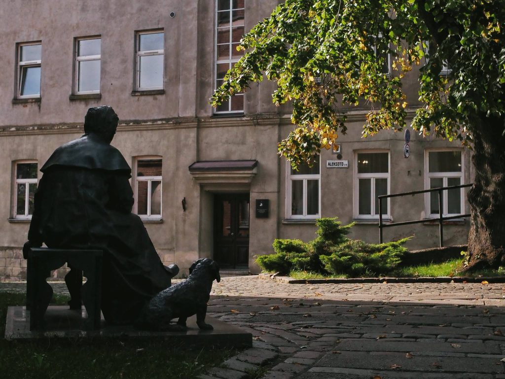 Savaitgalį Kaune prognozuojami permainingi orai (video)