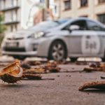 Fotografijų galerijoje – Kauno ruduo (foto)
