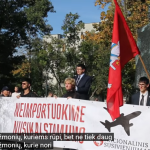 Mitingas prieš masinę migraciją ir provokatoriai (video)