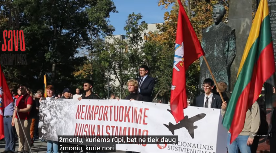 Mitingas prieš masinę migraciją ir provokatoriai (video)