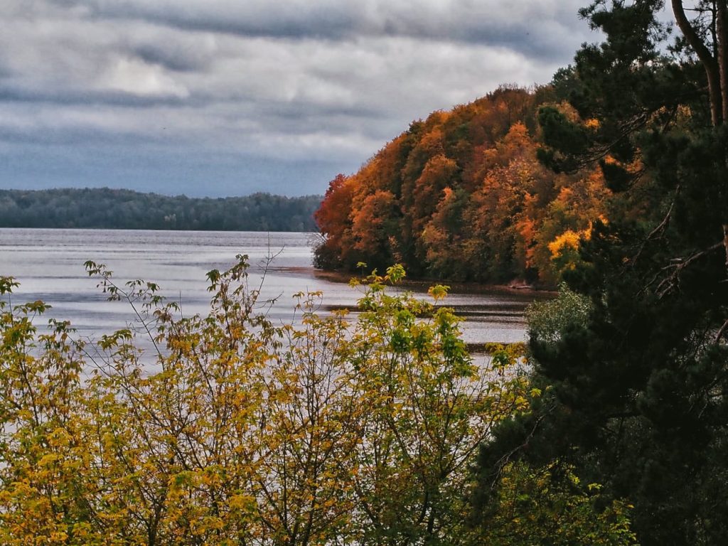 Tradicinėje fotografijų galerijoje – ruduo prie marių (foto)